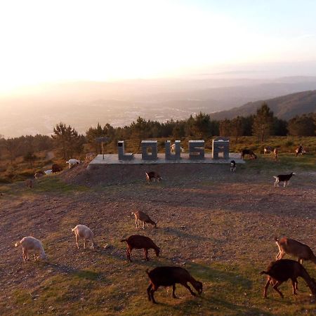 Casa Do Pastor Villa Lousã Dış mekan fotoğraf