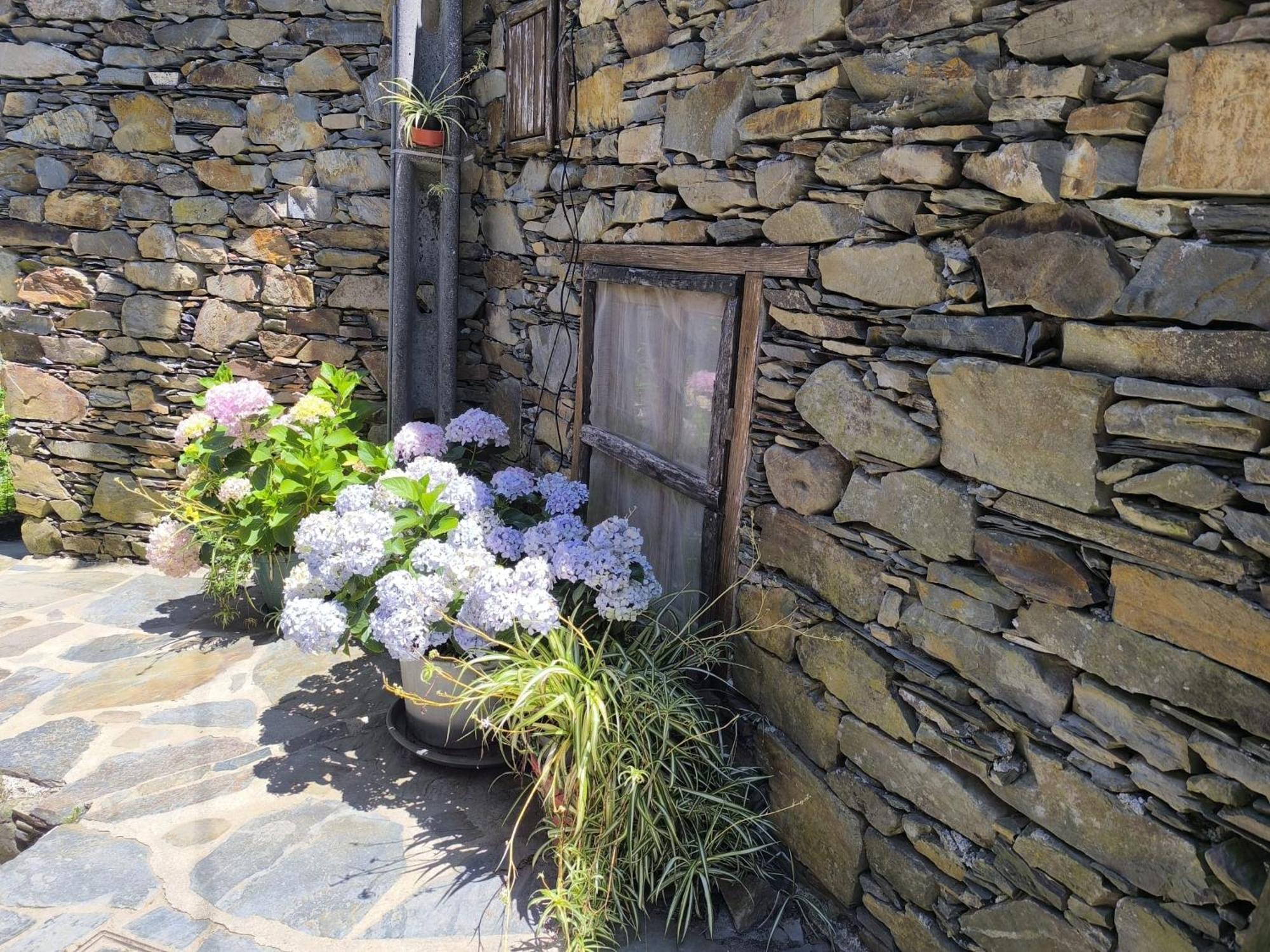 Casa Do Pastor Villa Lousã Dış mekan fotoğraf